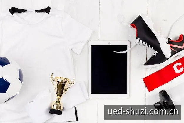 UED数字平台 ued入口多线智能网关架构示意图